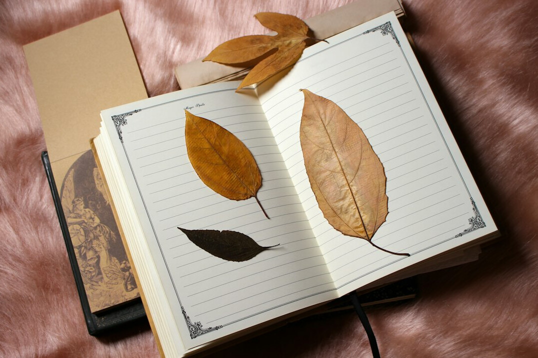 Open notebook and pen on a bright wooden desk